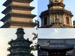 -石家庄市动物园