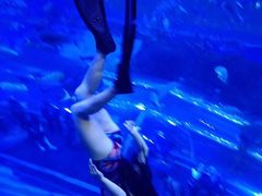 -成都浩海立方海洋公园