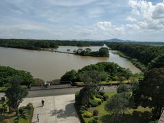 -大湾区中央湿地公园