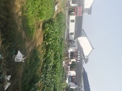 -小陆莲花蟹园农家乐(莲花岛店)