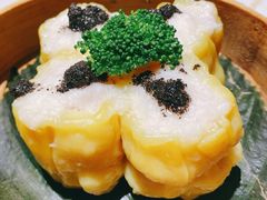 -点都德·毕德寮