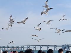 -星海广场