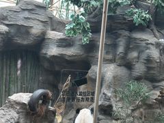 -北京动物园