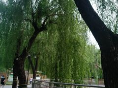 -黄村公园