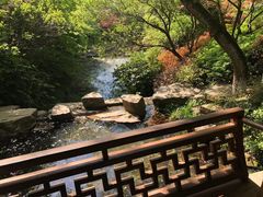 -杭州半山国家森林公园