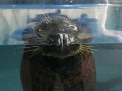 -左海海底世界