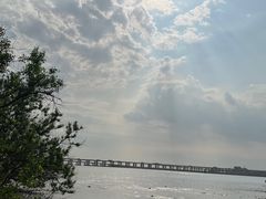 -宝安西湾红树林湿地公园