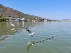 -西昌邛海湿地
