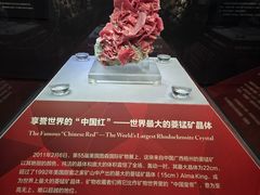 -湖南省地质博物馆