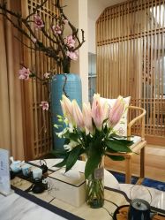 -一本X目奈子日式单根美睫专业店