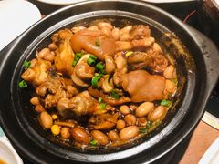 猪蹄儿-黑鸡小馆(金源店)