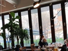 -the rug 飞毯 (朝阳公园店)