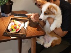 -echoes coffee回响咖啡(红山店)
