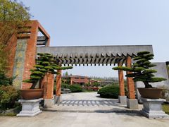 -上海海湾国家森林公园