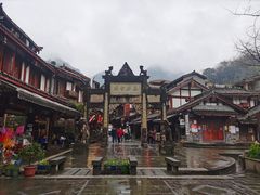 -龙翔山庄雷鸡肉(青城后山泰安古镇店)
