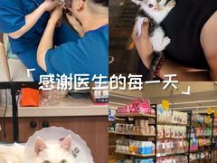 -爱派特动物医院·全科诊疗中心