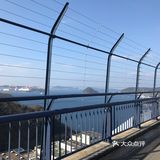 看到点评都是邮轮客过来的 一般的也不会来吧