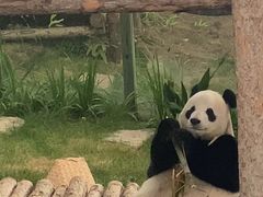 -大连森林动物园