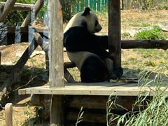 -大连森林动物园