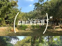 -大雁山风景区