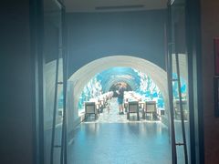-海棠湾洲际-涛·海底餐厅·美人鱼·自助餐·海底隧道