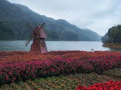 -广州市石门国家森林公园
