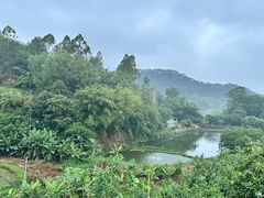 -天强农家菜馆