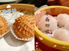 -老广酒楼(樱花店)