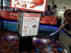 鲜活小龙虾-盒马鲜生(岭南新世界店)