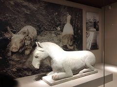 -宁夏博物馆