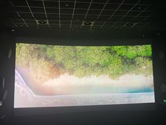 -百美汇影城(LUXE嘉里中心店)