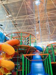 -爱丽丝奇幻乐园