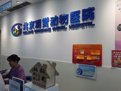 -北京观赏动物医院·24小时大型综合·猫专科·异宠专科