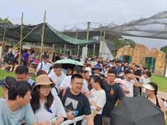 -鄱阳湖国家湿地公园