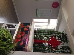 传世玉颜专业祛痘连锁机构(雁塔店)-传世玉颜专业祛痘·问题肌