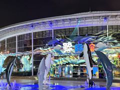 -海合安成都极地海洋公园