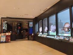 -新兴·金羊座·粤菜点心(乐峰店)