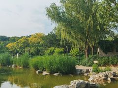 -大望京公园