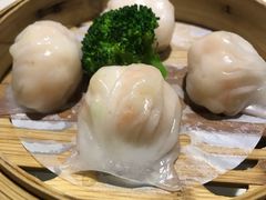 隆隆金虾饺皇-隆隆金大茶楼(地王广场店)