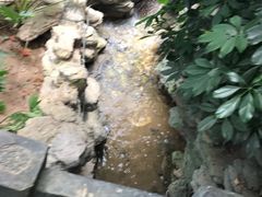 -德百温泉大观园生态餐厅(夏津店)
