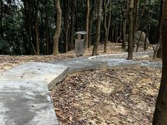 -火炉山森林公园