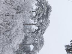 -妙峰山风景名胜区