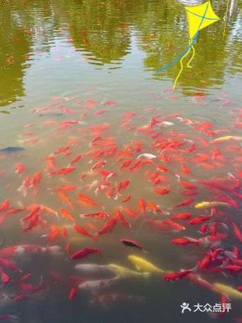 啊啊啊... 烈士公园围挡秘密揭晓!️️