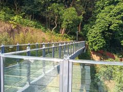-黄埔油麻山森林公园