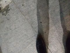 -CGV影城(万象城激光IMAX店)