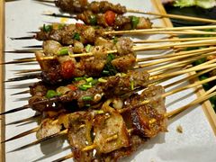 -山野的朋友露营炭火烤肉