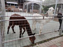 -迪茵湖田家舍生态农场
