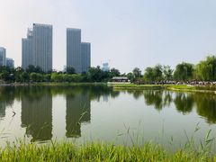 -西海子公园