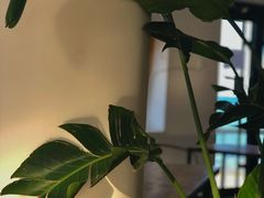 -ChanDu躔度咖啡(灯塔店)