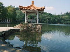 -深圳仙湖植物园